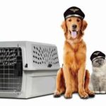 Reliable international relocation services in Mumbai offering expert packing, customs clearance, and global shipping. Safe, fast, and stress-free moving solutions.